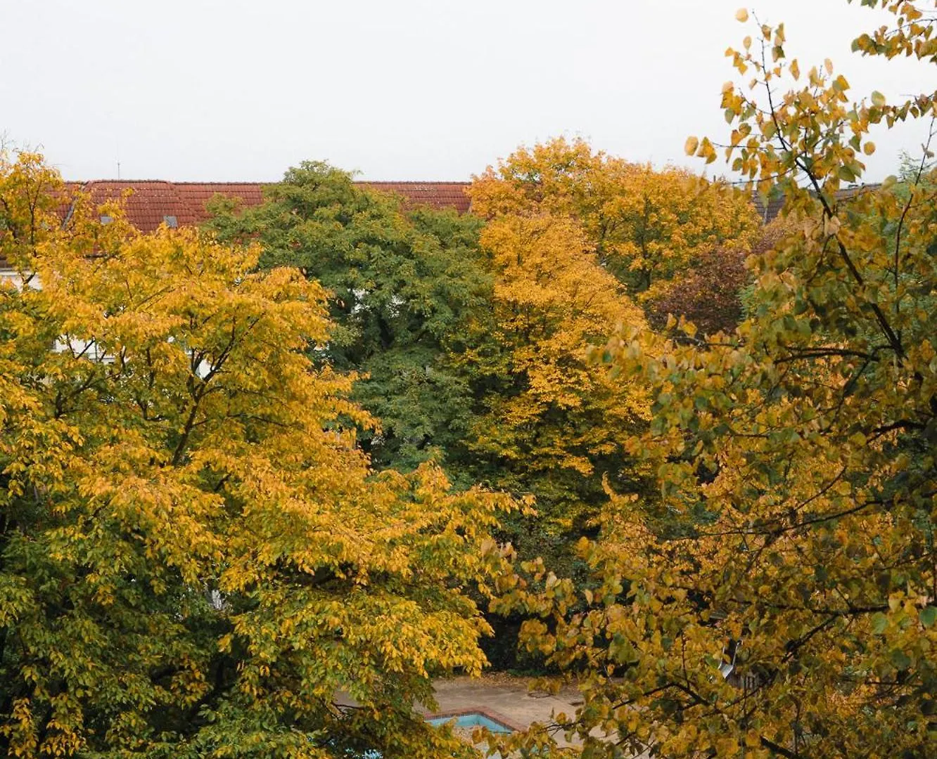 Modern, Ruhig, Gemuetlich: 2 Zimmer Wohnung In Bester Lage Nahe Alster + Stadtpark Hamburg Apartament